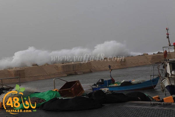 arain in yaffaj3 (10).jpg